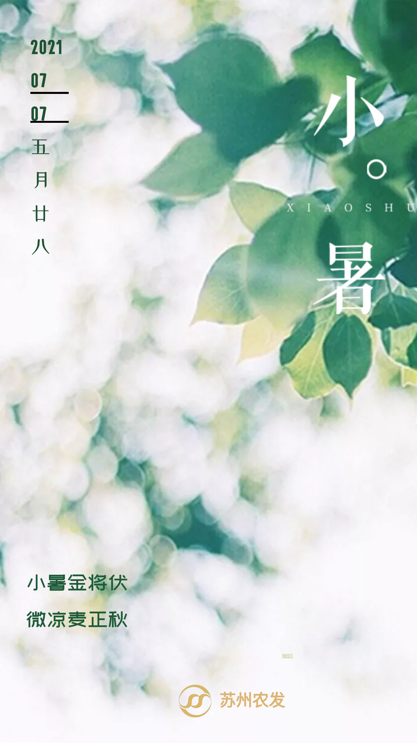 11幼暑.png